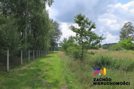 Działka budowlana z projektem domu w Gronowie